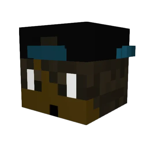 nademaster1337 Minecraft avatar head, 3D render