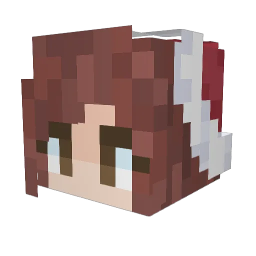 nadiddle Minecraft avatar head, 3D render