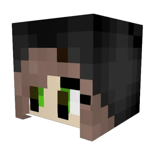 nadine2315 Minecraft avatar head, 3D render