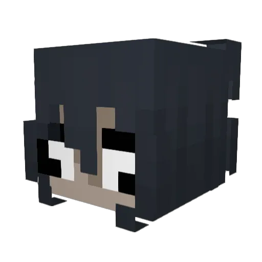 nadinha Minecraft avatar head, 3D render