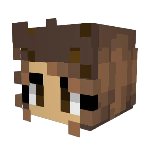 nadixaaa Minecraft avatar head, 3D render