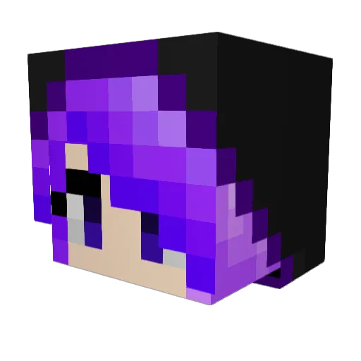 nadzooks Minecraft avatar head, 3D render