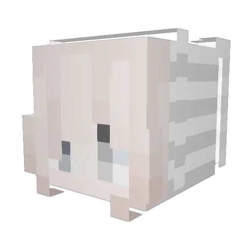 naedy Minecraft avatar head, 3D render