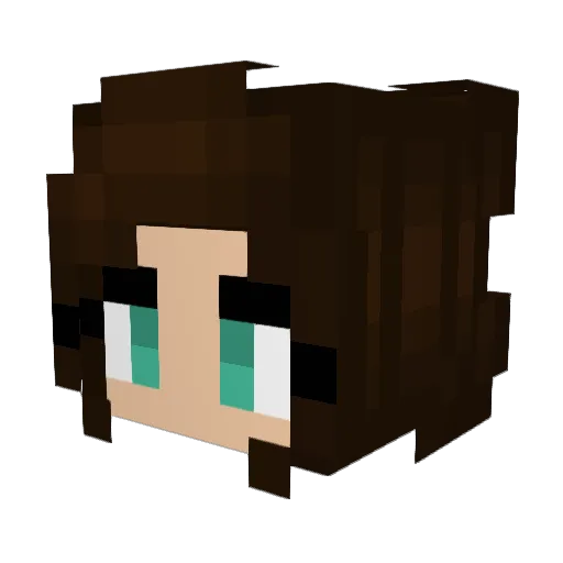 naeeeee Minecraft avatar head, 3D render