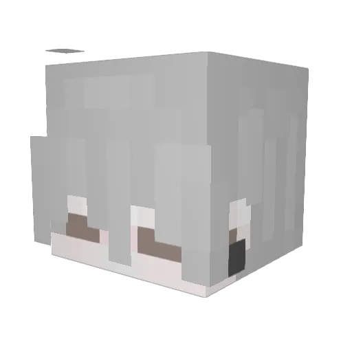naeftis Minecraft avatar head, 3D render