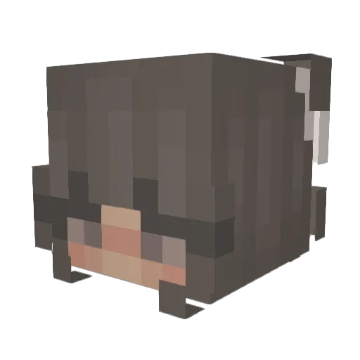 naegalex Minecraft avatar head, 3D render