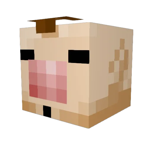 naehthun Minecraft avatar head, 3D render