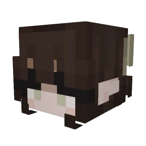naellie Minecraft avatar head, 3D render