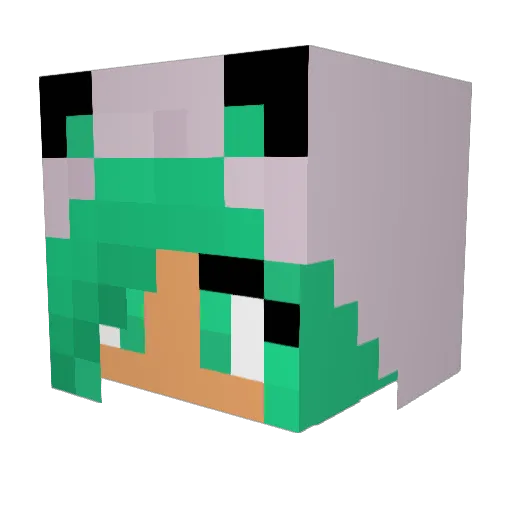 naenae200310 Minecraft avatar head, 3D render