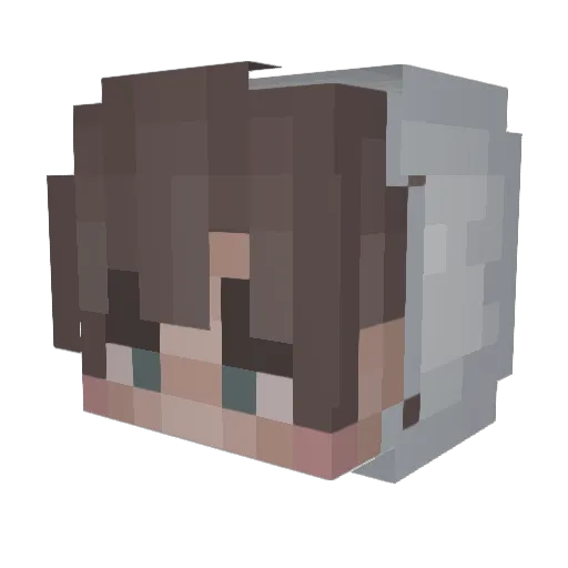 naeroll Minecraft avatar head, 3D render