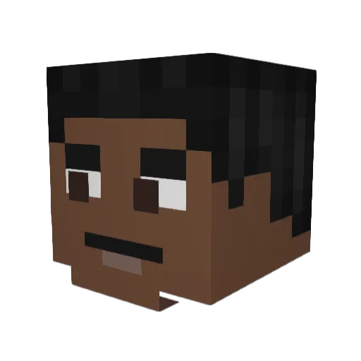 naes14 Minecraft avatar head, 3D render
