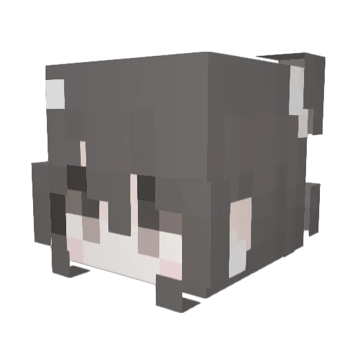 naeun09 Minecraft avatar head, 3D render