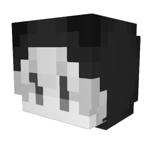 nafen Minecraft avatar head, 3D render