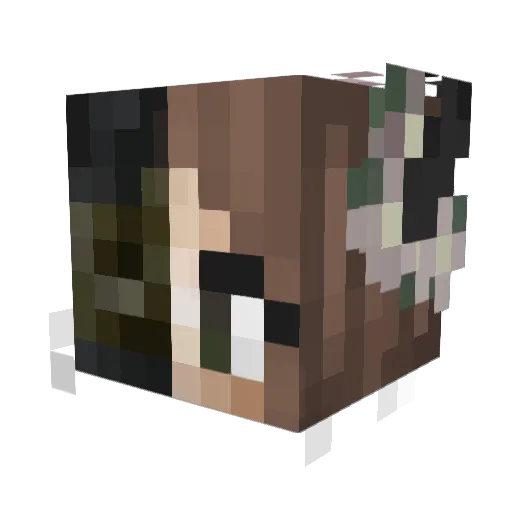 nafisaa Minecraft avatar head, 3D render
