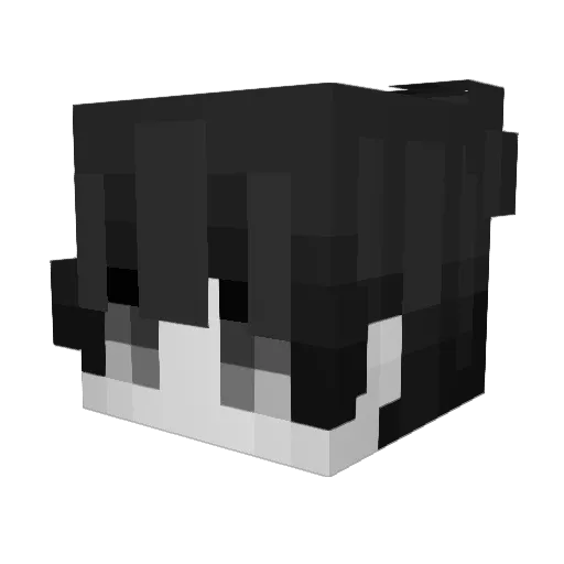 nagasaci Minecraft avatar head, 3D render