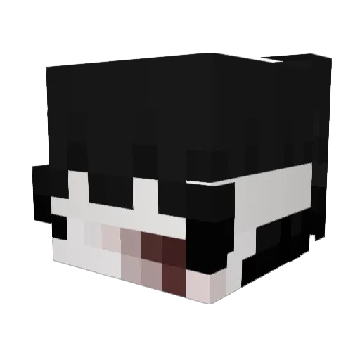 nagoname Minecraft avatar head, 3D render