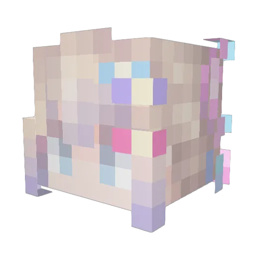 nahch Minecraft avatar head, 3D render