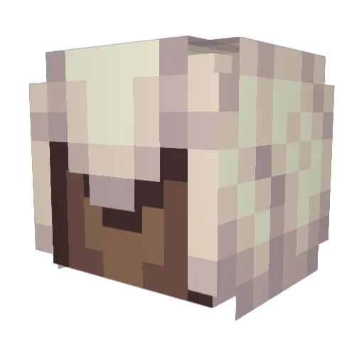 nahomboy Minecraft avatar head, 3D render