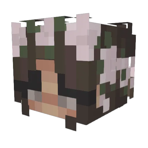 nahtaliuh Minecraft avatar head, 3D render