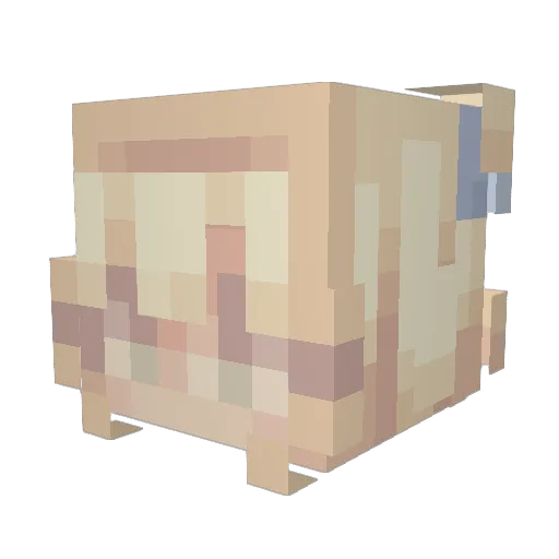 nahtasha Minecraft avatar head, 3D render