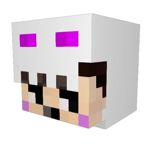 nai16 Minecraft avatar head, 3D render