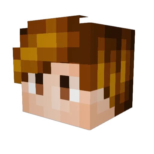 naibaf66 Minecraft avatar head, 3D render