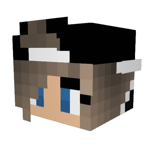 naicaboss13 Minecraft avatar head, 3D render