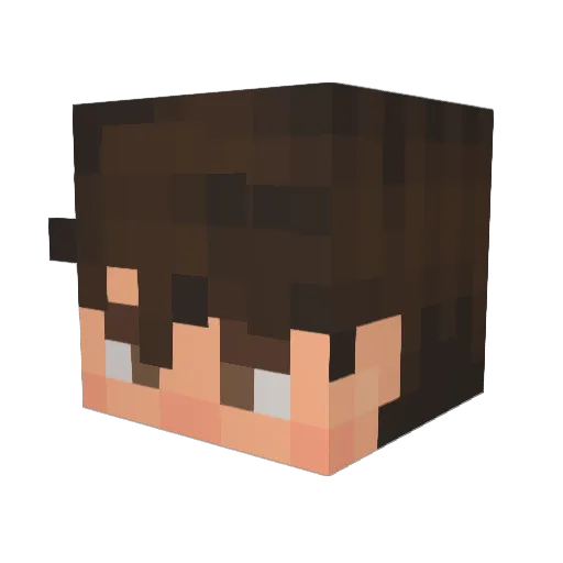 nailtailbee Minecraft avatar head, 3D render