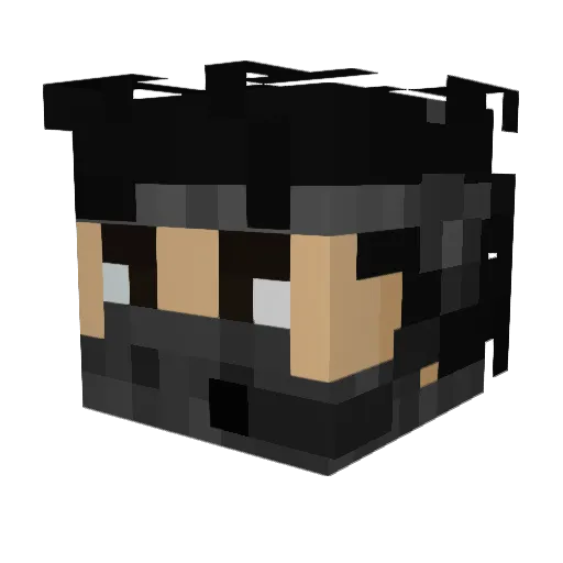 nais1 Minecraft avatar head, 3D render
