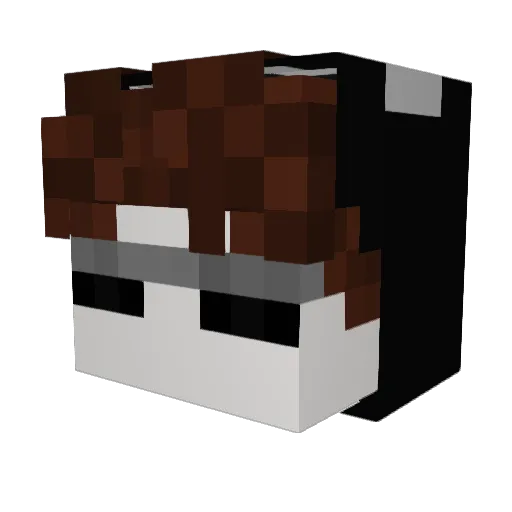 naitcmc Minecraft avatar head, 3D render