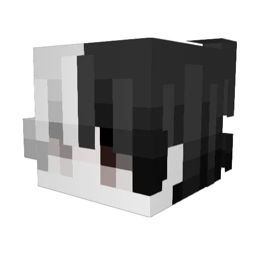 naive4evr Minecraft avatar head, 3D render