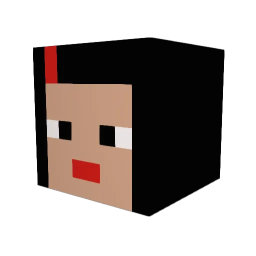 naja4569 Minecraft avatar head, 3D render