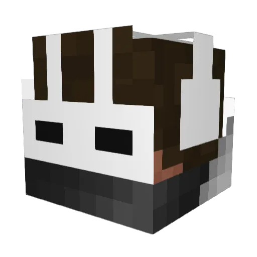 naji2003 Minecraft avatar head, 3D render
