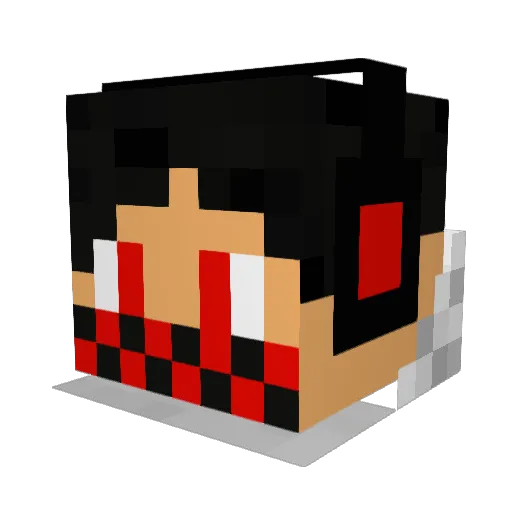 najile1 Minecraft avatar head, 3D render