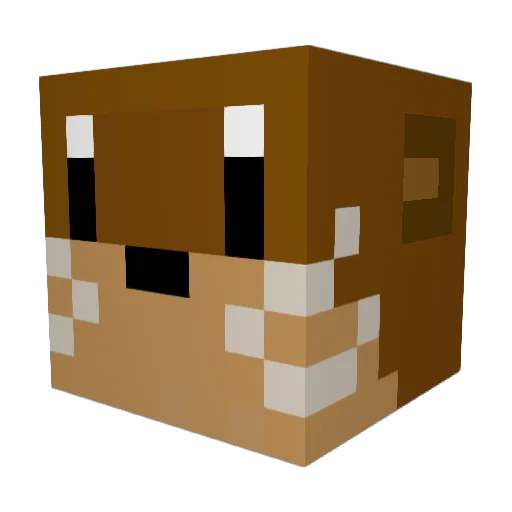 nak12345 Minecraft avatar head, 3D render