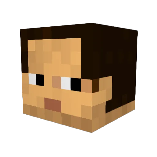 nakapooh Minecraft avatar head, 3D render