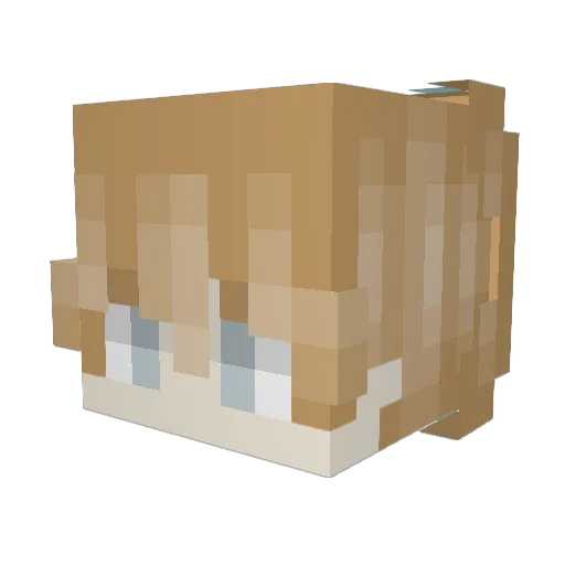 nakario Minecraft avatar head, 3D render