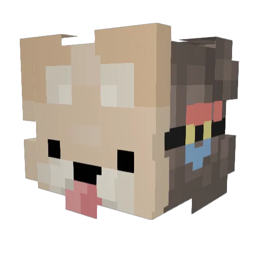 nakota_x Minecraft avatar head, 3D render