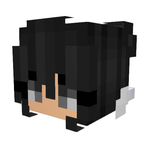 nakp Minecraft avatar head, 3D render