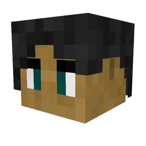 naky0 Minecraft avatar head, 3D render