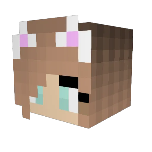nalarules Minecraft avatar head, 3D render
