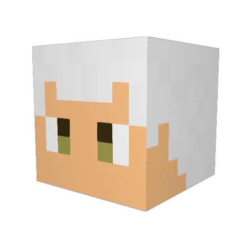 nalkami4 Minecraft avatar head, 3D render