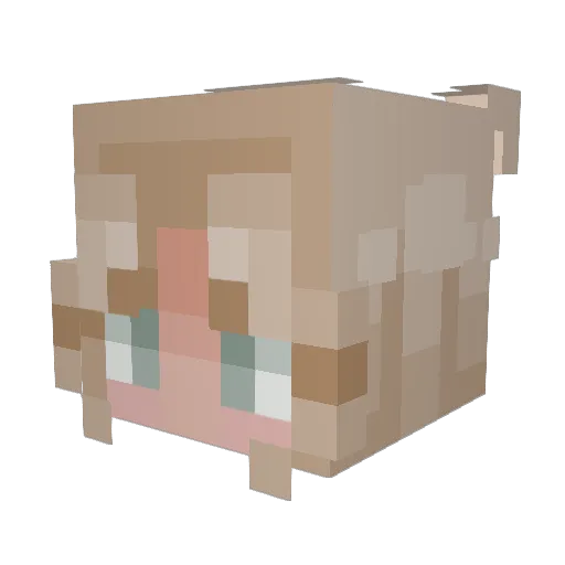 nallanoel Minecraft avatar head, 3D render