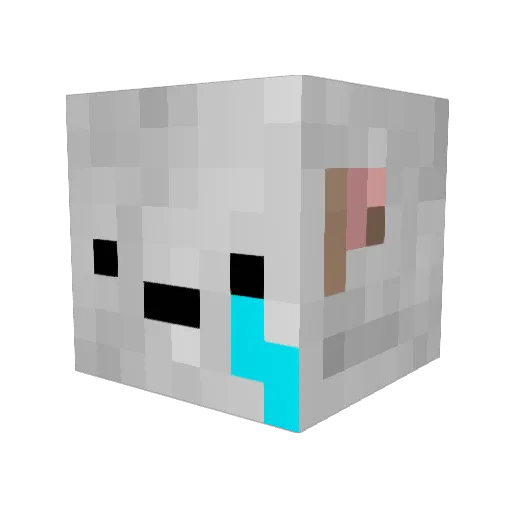 nalllee Minecraft avatar head, 3D render