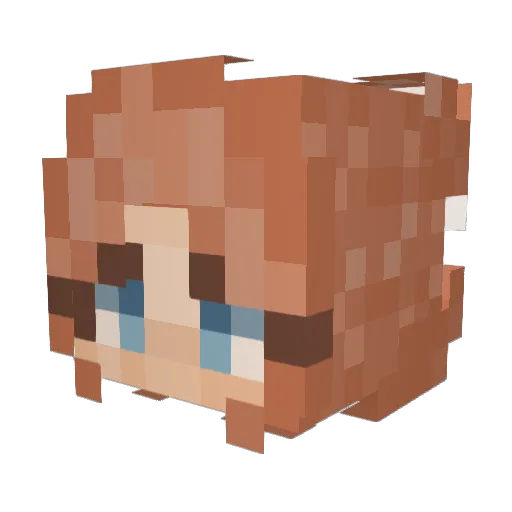 nally_7 Minecraft avatar head, 3D render