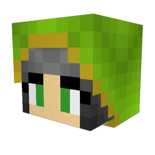 nalou29 Minecraft avatar head, 3D render