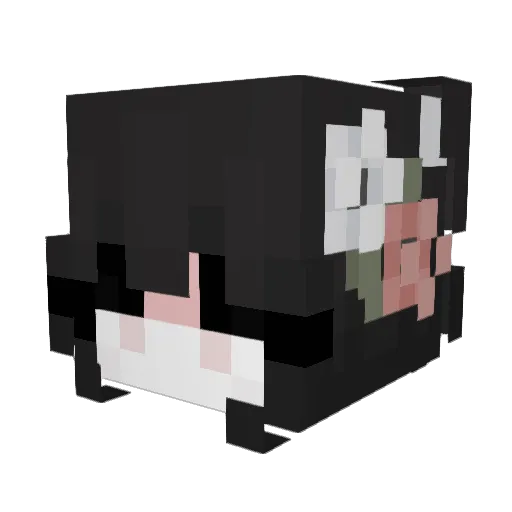 nalu7429 Minecraft avatar head, 3D render