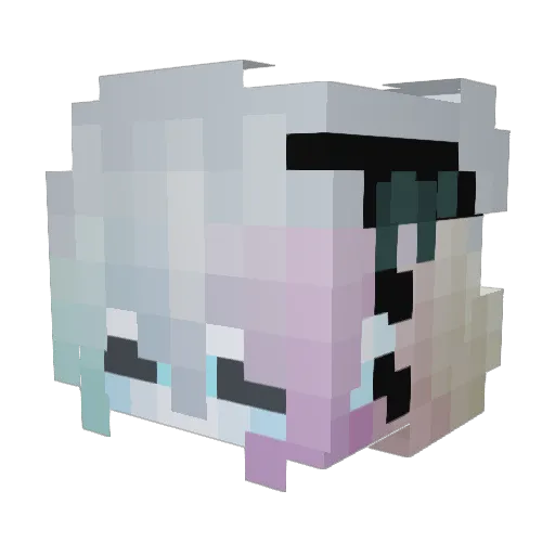 nam3nslos Minecraft avatar head, 3D render