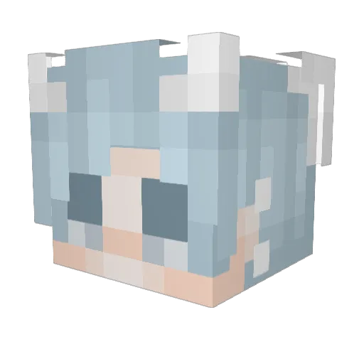 nam_suk Minecraft avatar head, 3D render