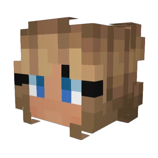 namastayaway Minecraft avatar head, 3D render